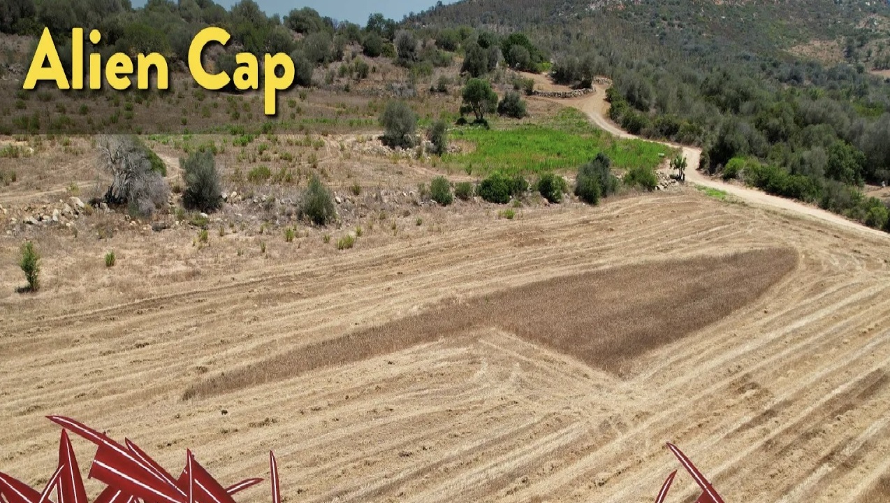 Guarda il video della creazione di Alien Cap